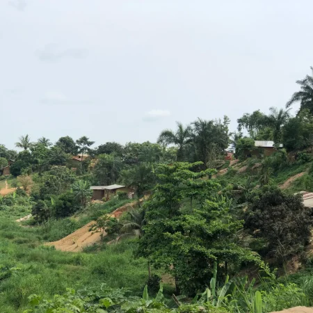 The lush green landscape of Kindu